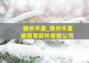 赣州禾盈_赣州禾盈通用零部件有限公司